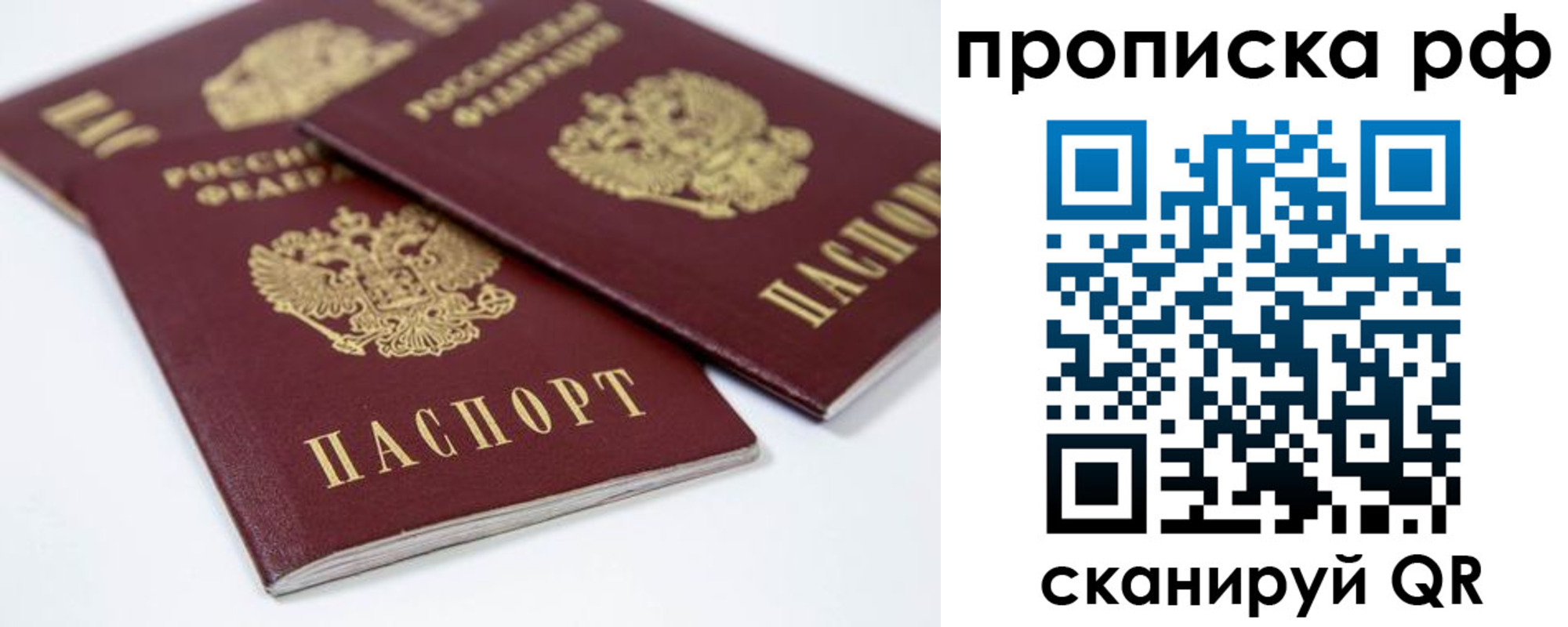 временная регистрация 2025 в Димитровграде
